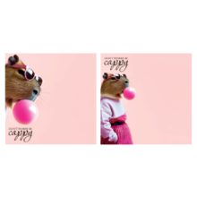 Erich Krause öntapadós jegyzettömb 75x75mm - Capybara