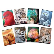 Pigna Animal 42 lapos füzet A/5 - Kockás