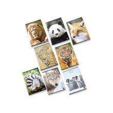 Pigna Animal 42 lapos füzet A/5 - Kockás