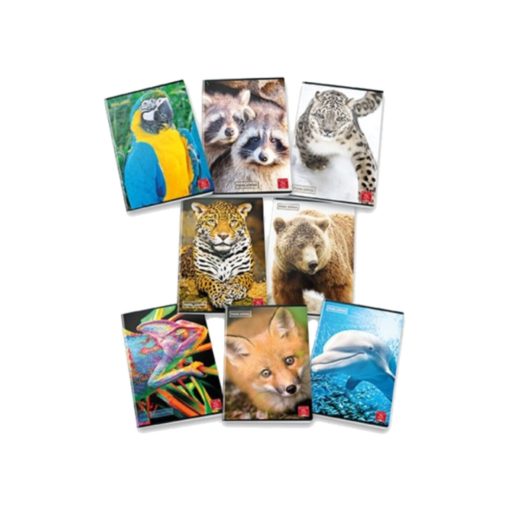 Pigna Animal 42 lapos füzet A/5 - Kockás