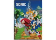 Sonic, a sündisznó