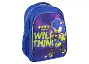 Sonic, a sündisznó