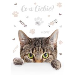 Cicás Meow A/4 gumis mappa